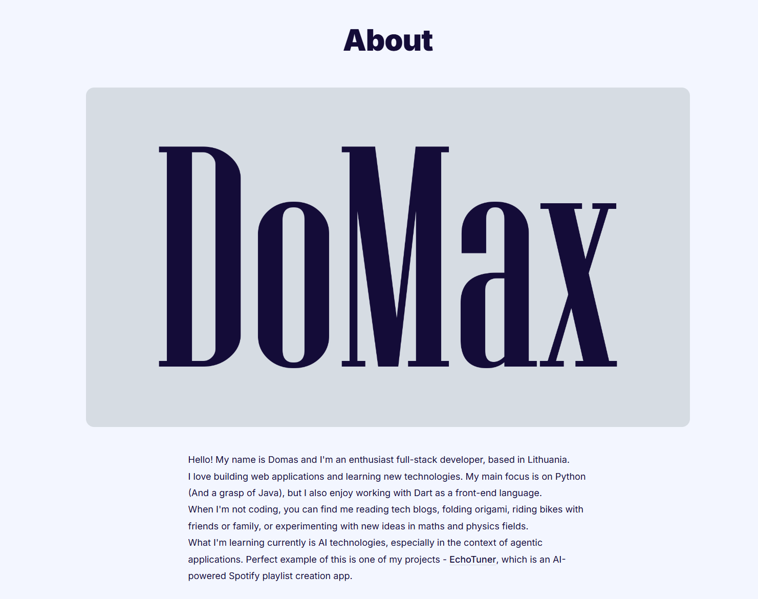 Pagalba su IT ir programavimo paslaugos